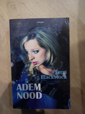 Terri Blackstock - Ademnood
