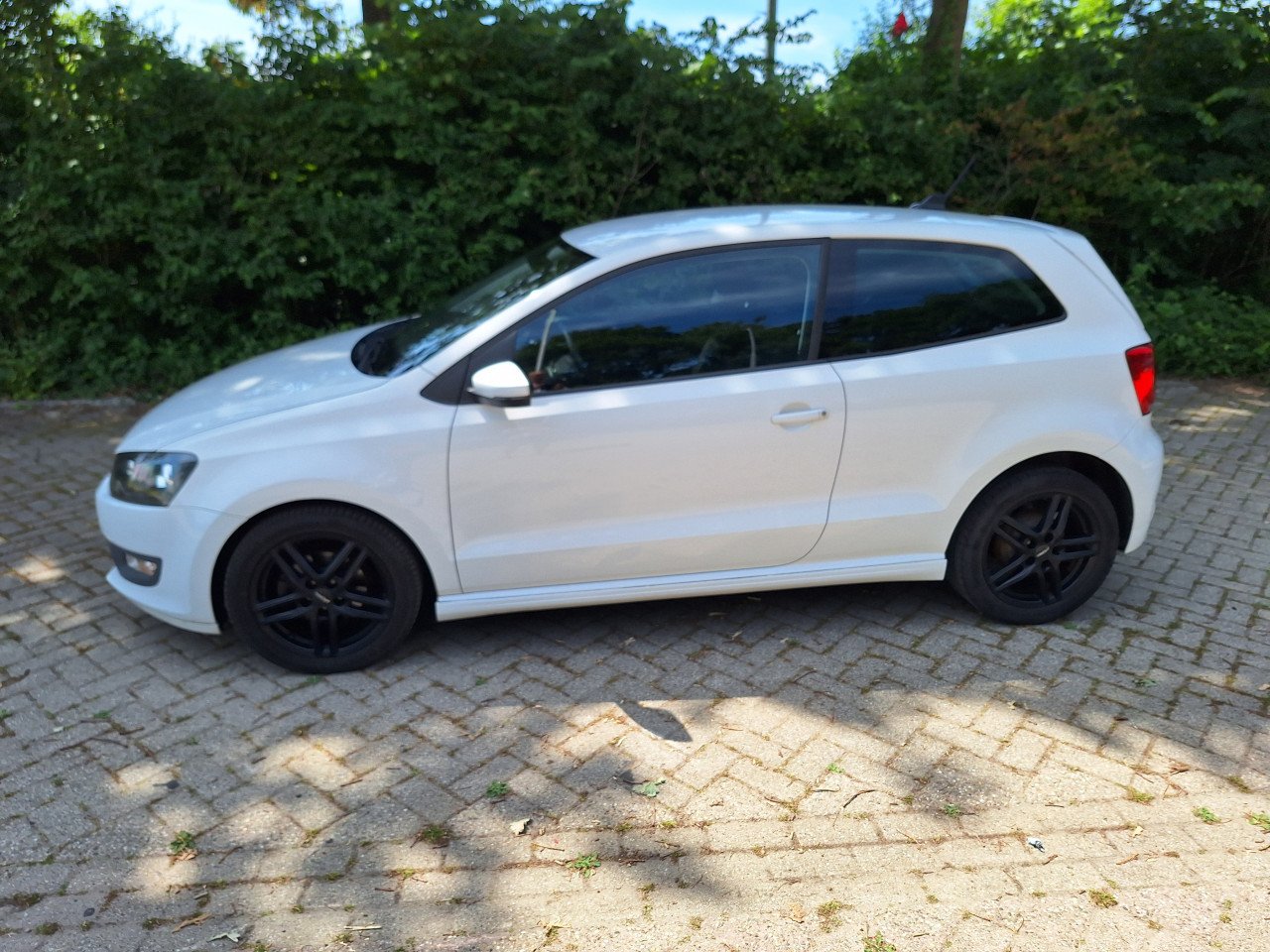 VW Polo Blue Motion