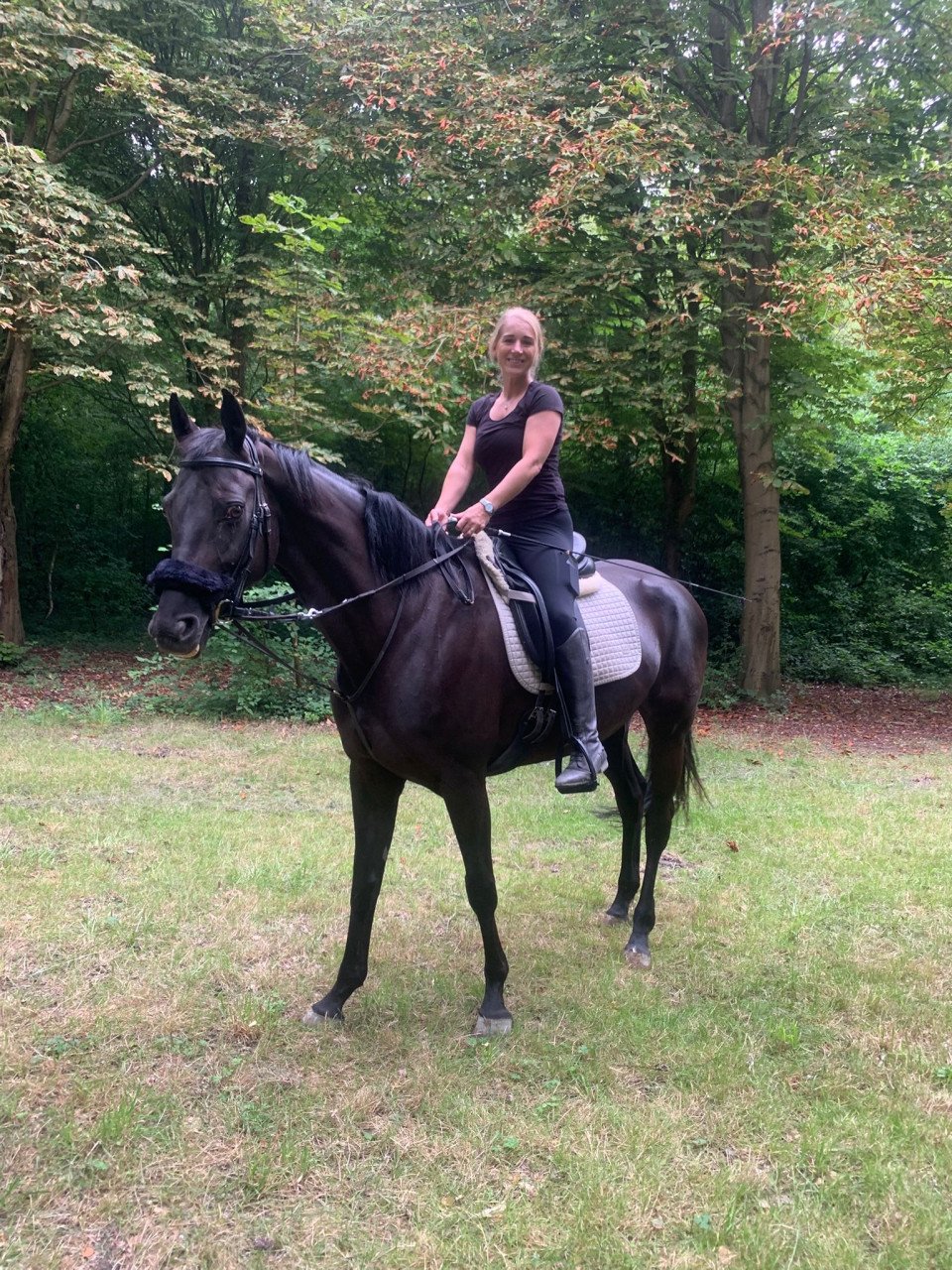 Te koop zwarte 10 jarige KWPN merrie