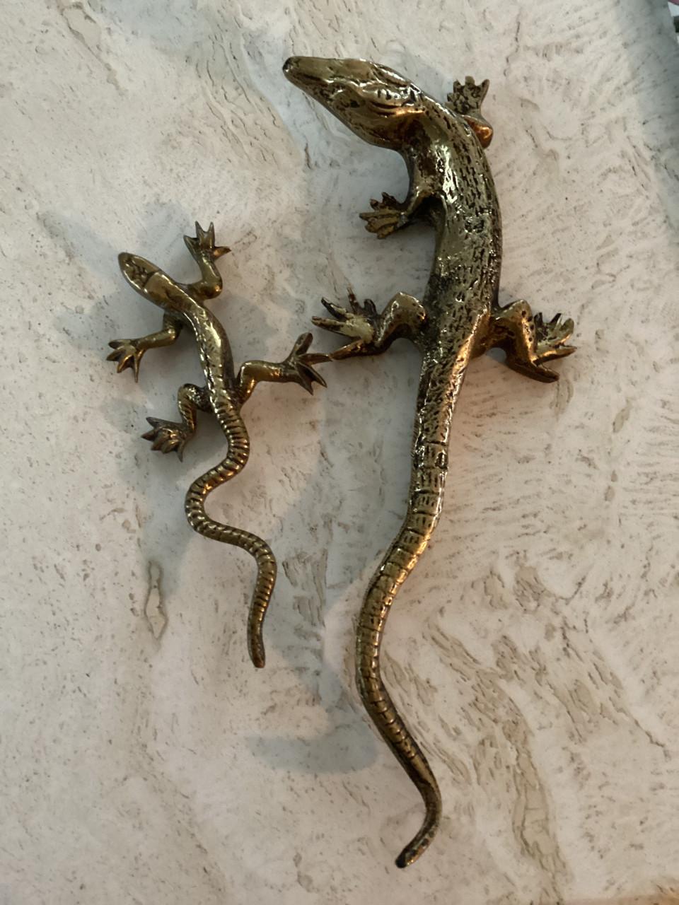 Koperen krokodil en salamander