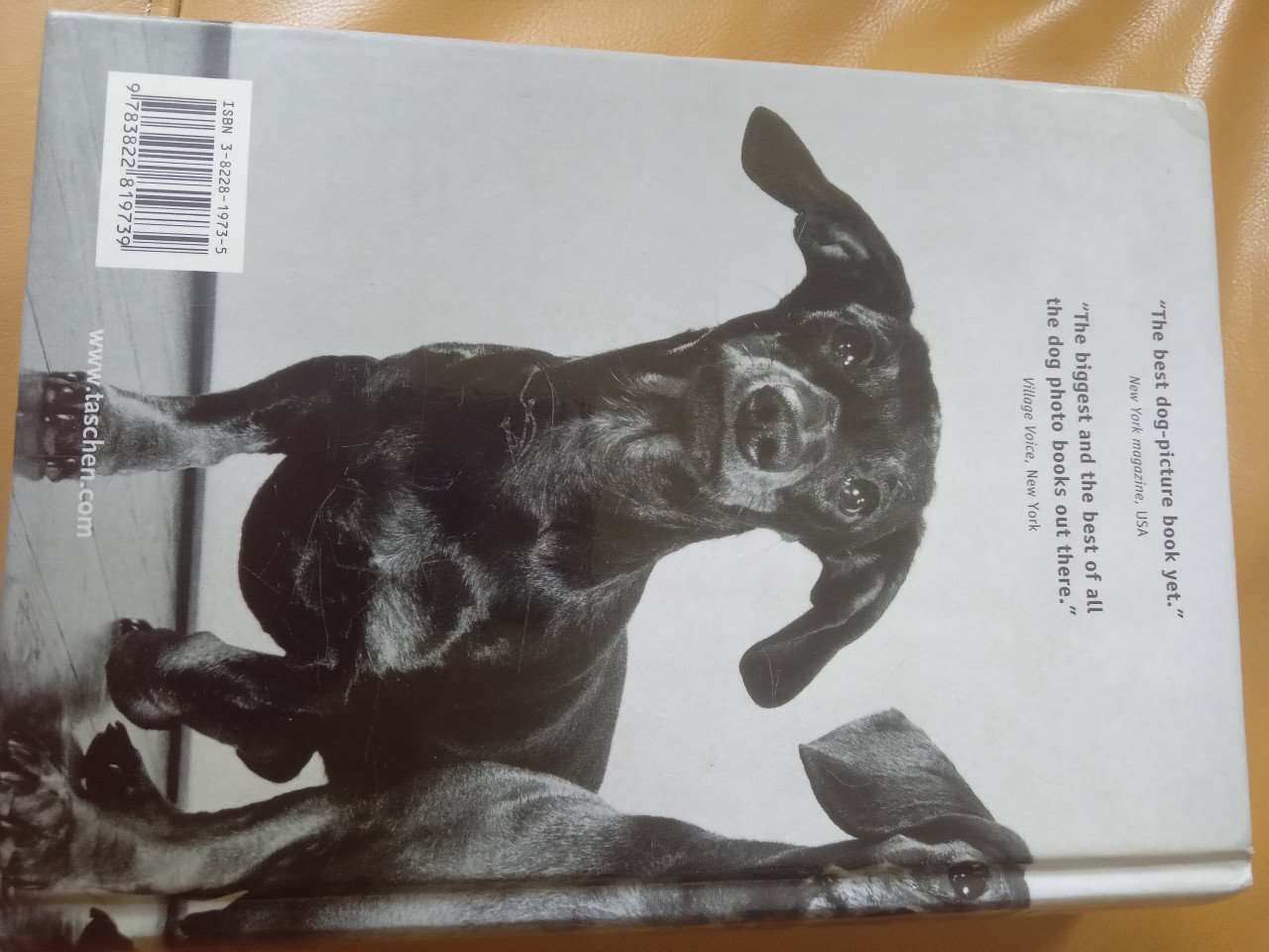 1000 dogs, fotoboek over honden