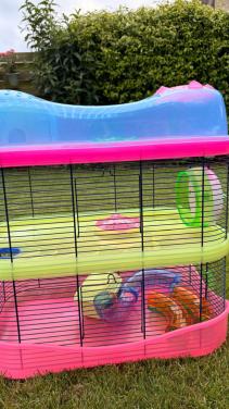 Hamsterkooi