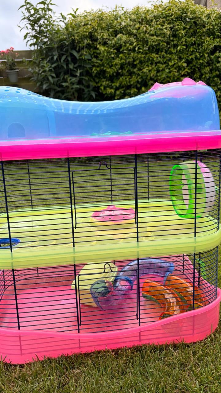 Hamsterkooi