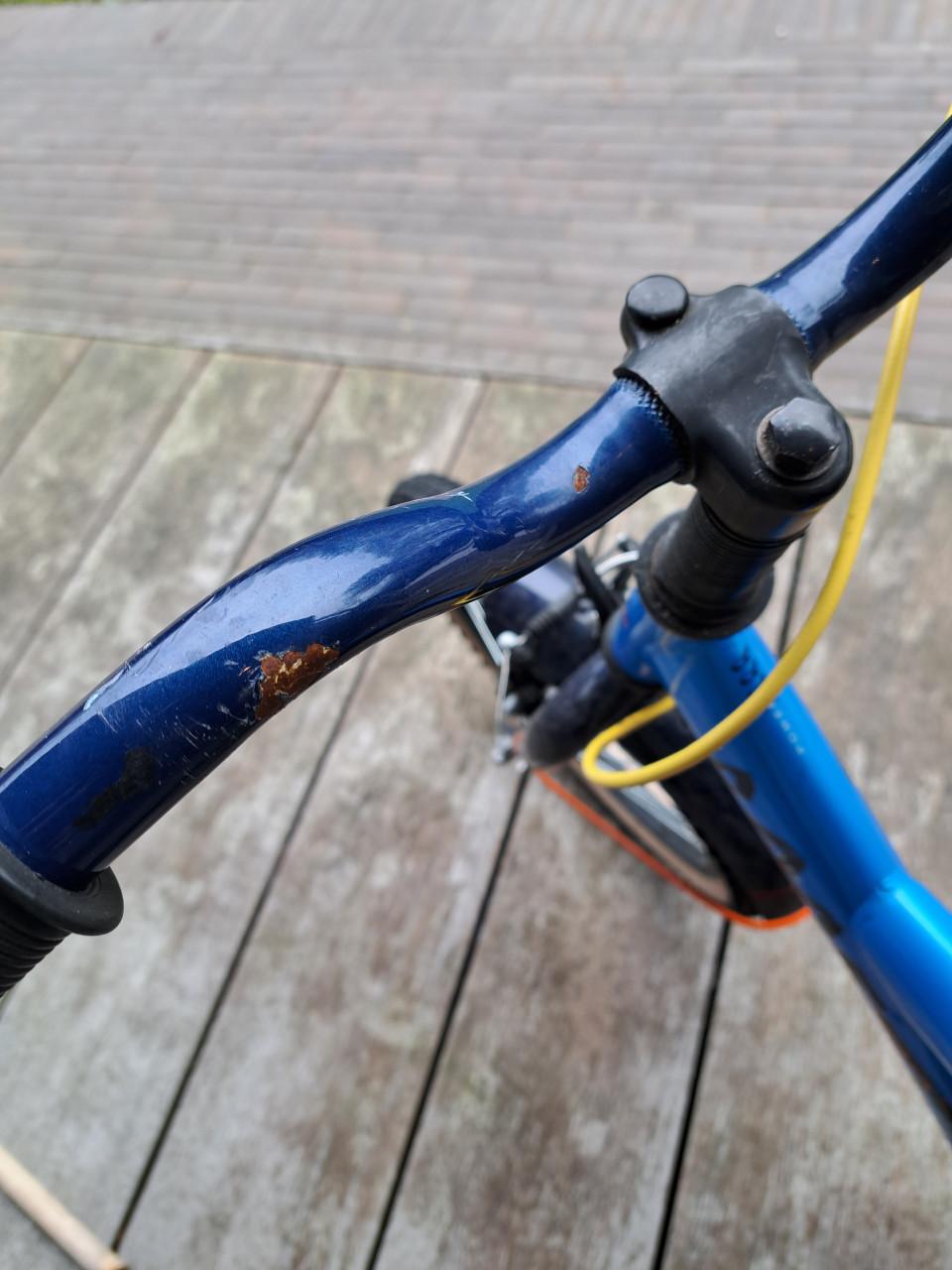 Fiets Loekie Booster 16 inch