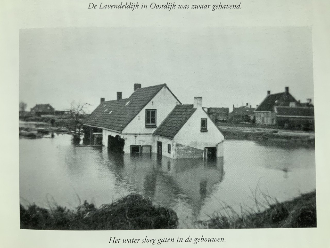 T gebruis der zee doet gij bedaren