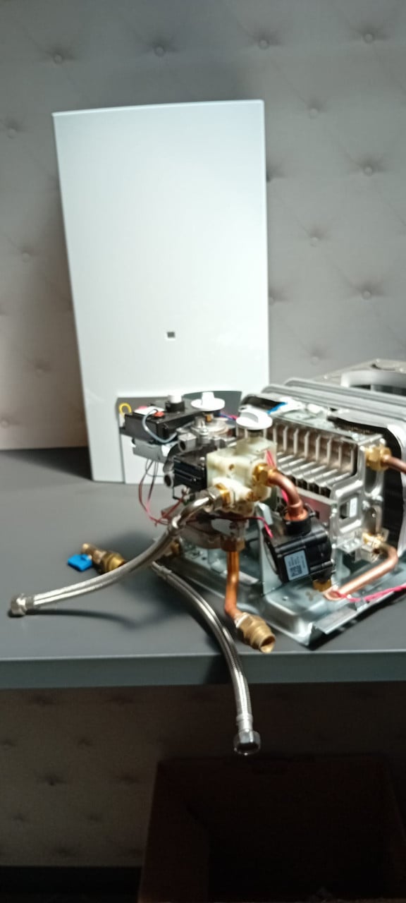 Vaillant