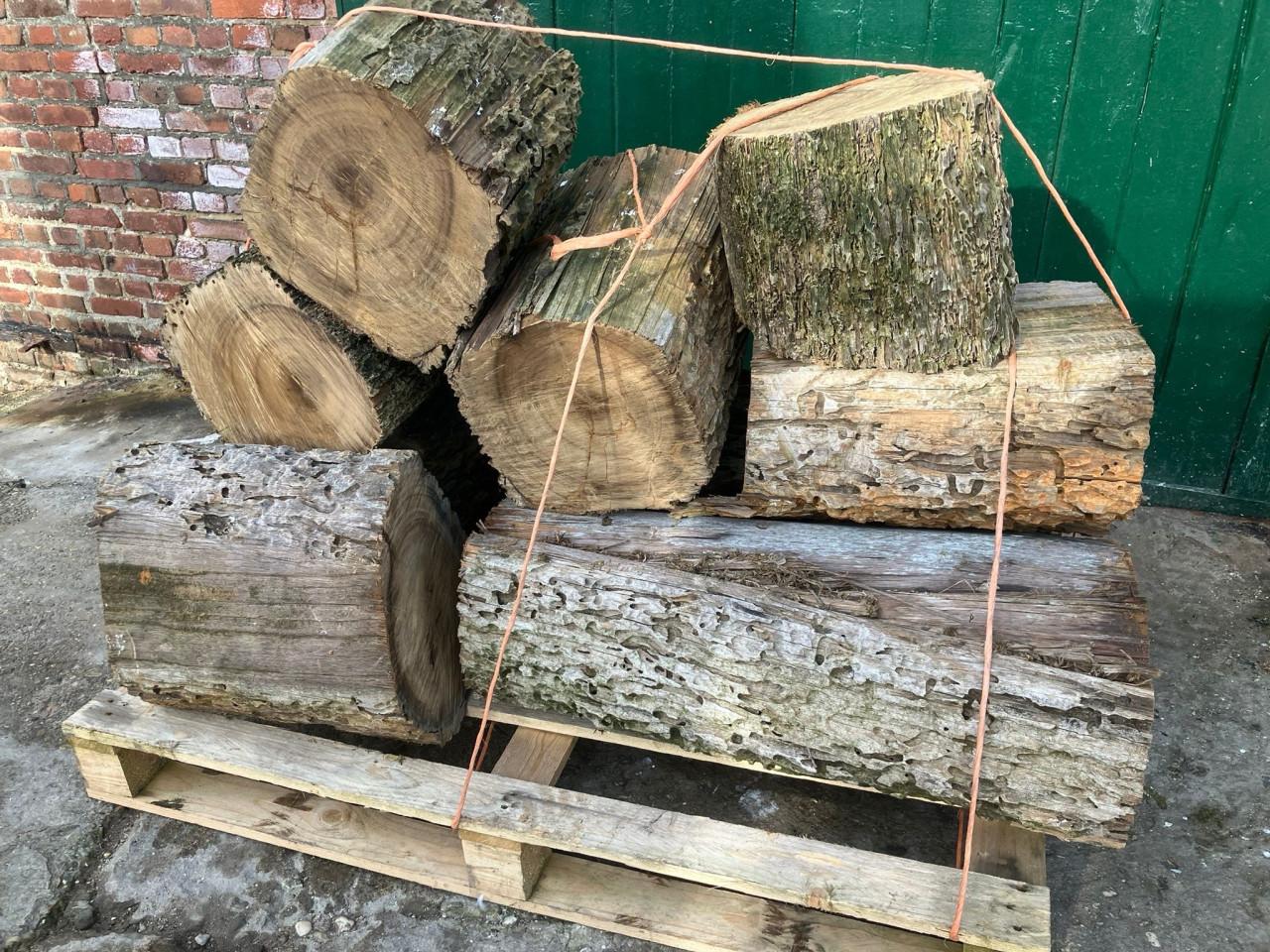 Haardhout Boomstam spijkerblok spijker slaan hout open haard