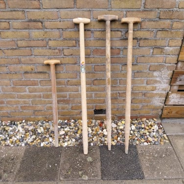 Tuin