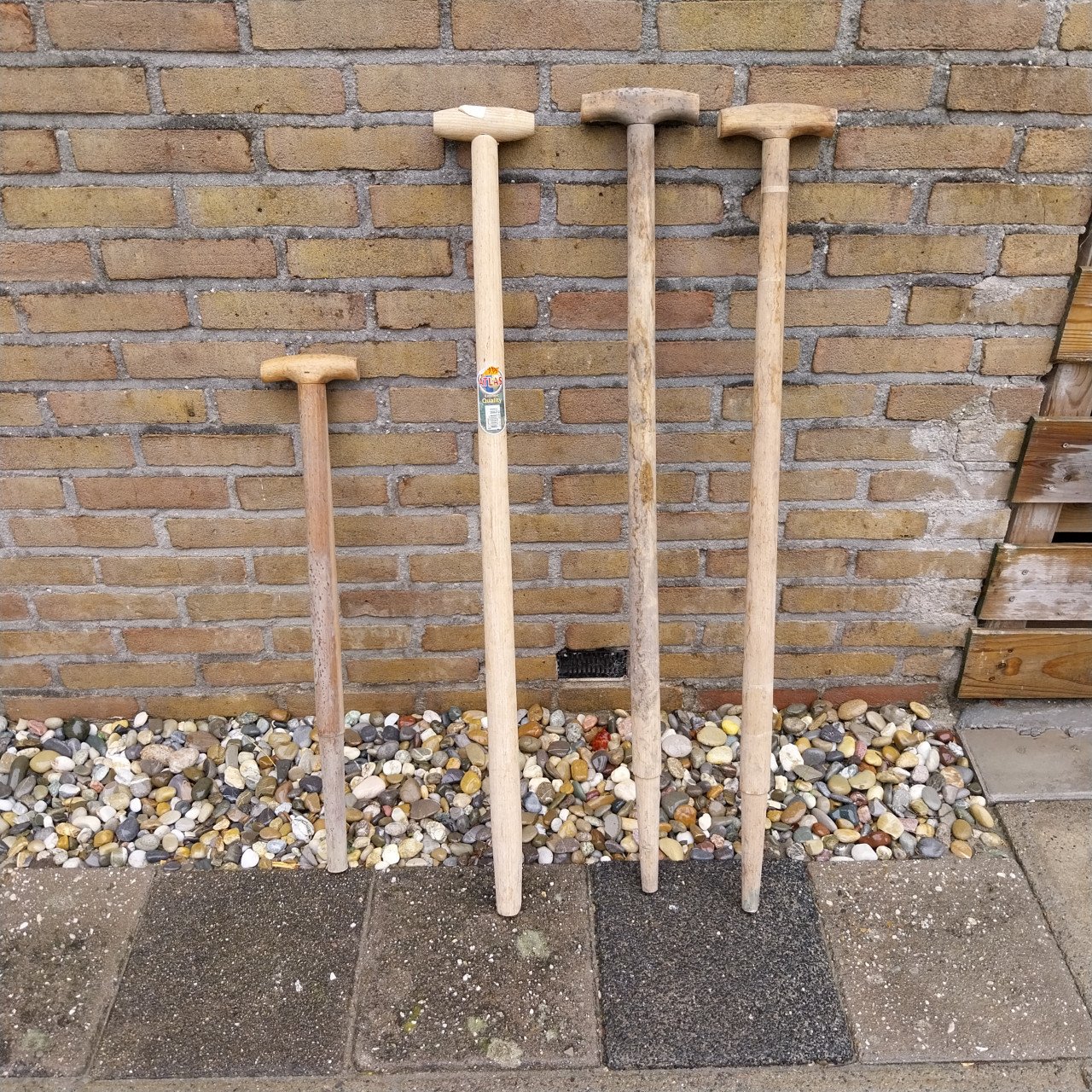 Tuin