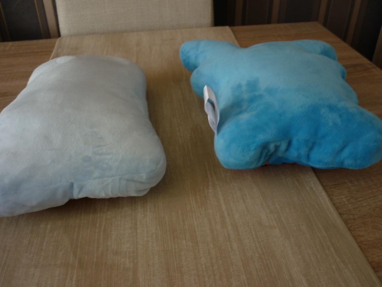 TWEE KUSSENS