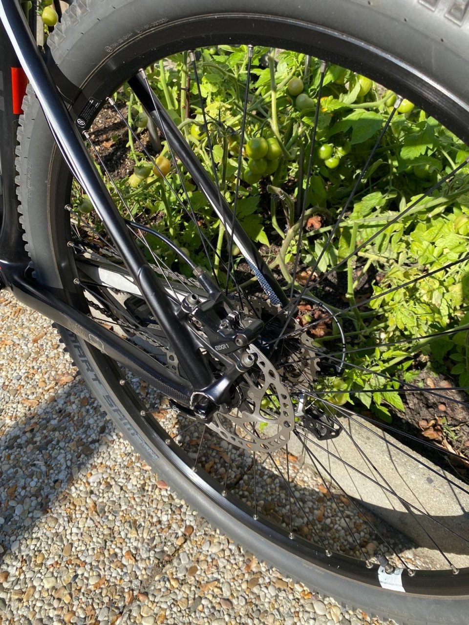 CUBE Carbon 29” MTB