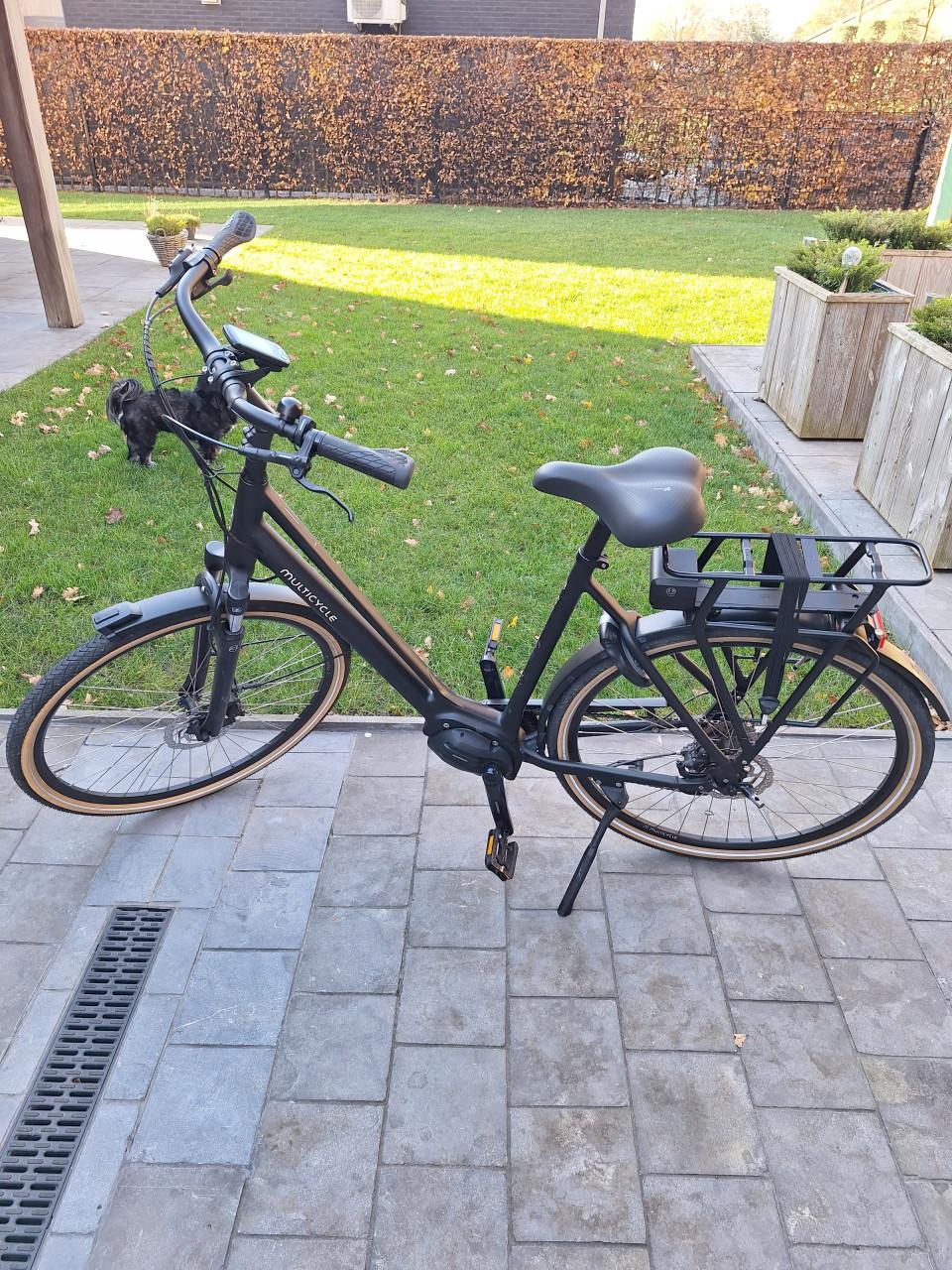 Multicycle Solo fiets