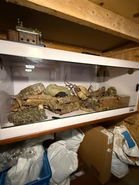 Terrarium met veel toebehoren