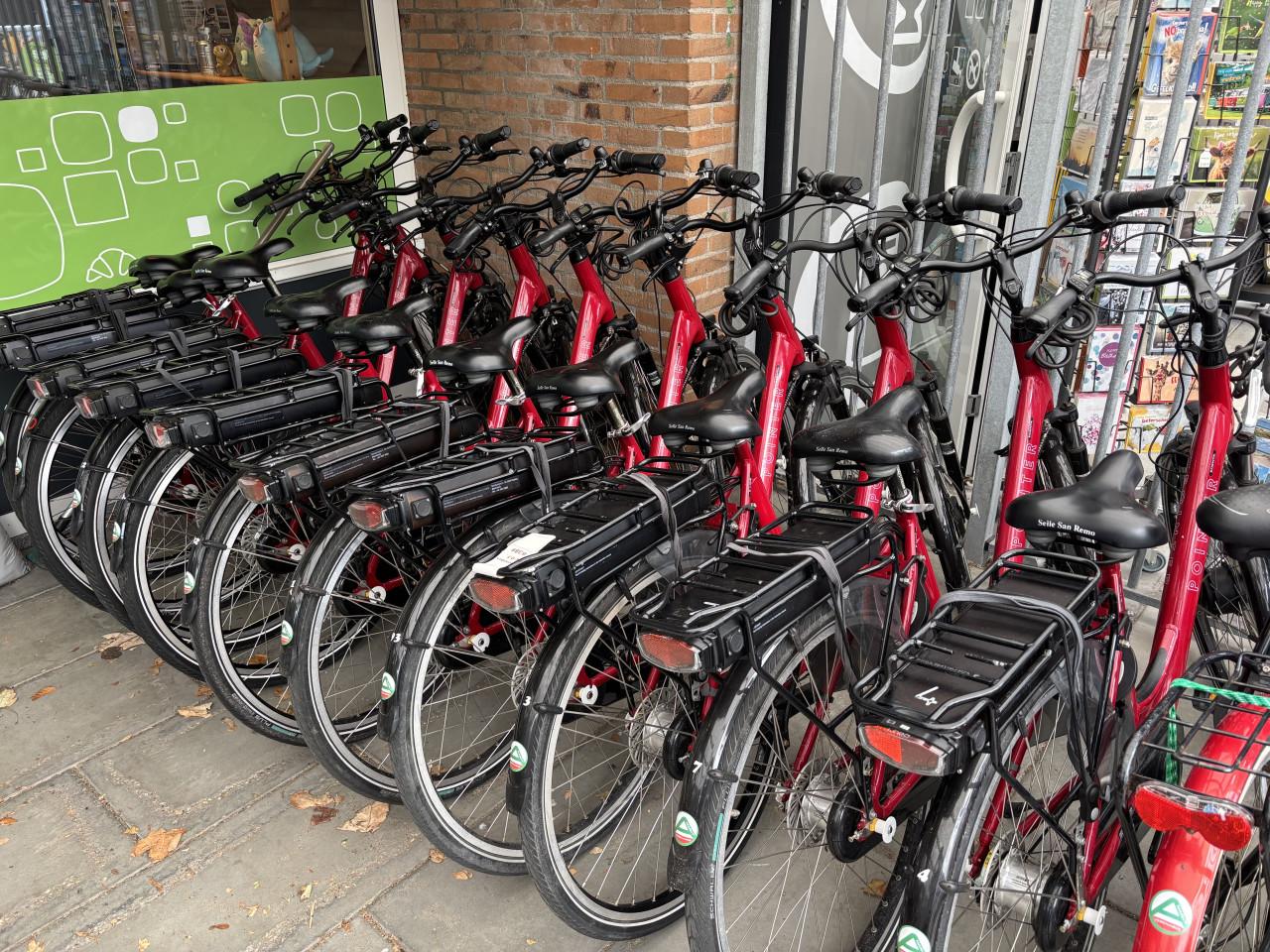 E-bike Pointer Edenta