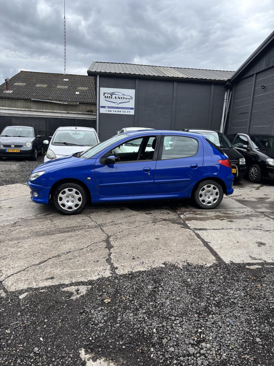Peugeot 206 jaar apk