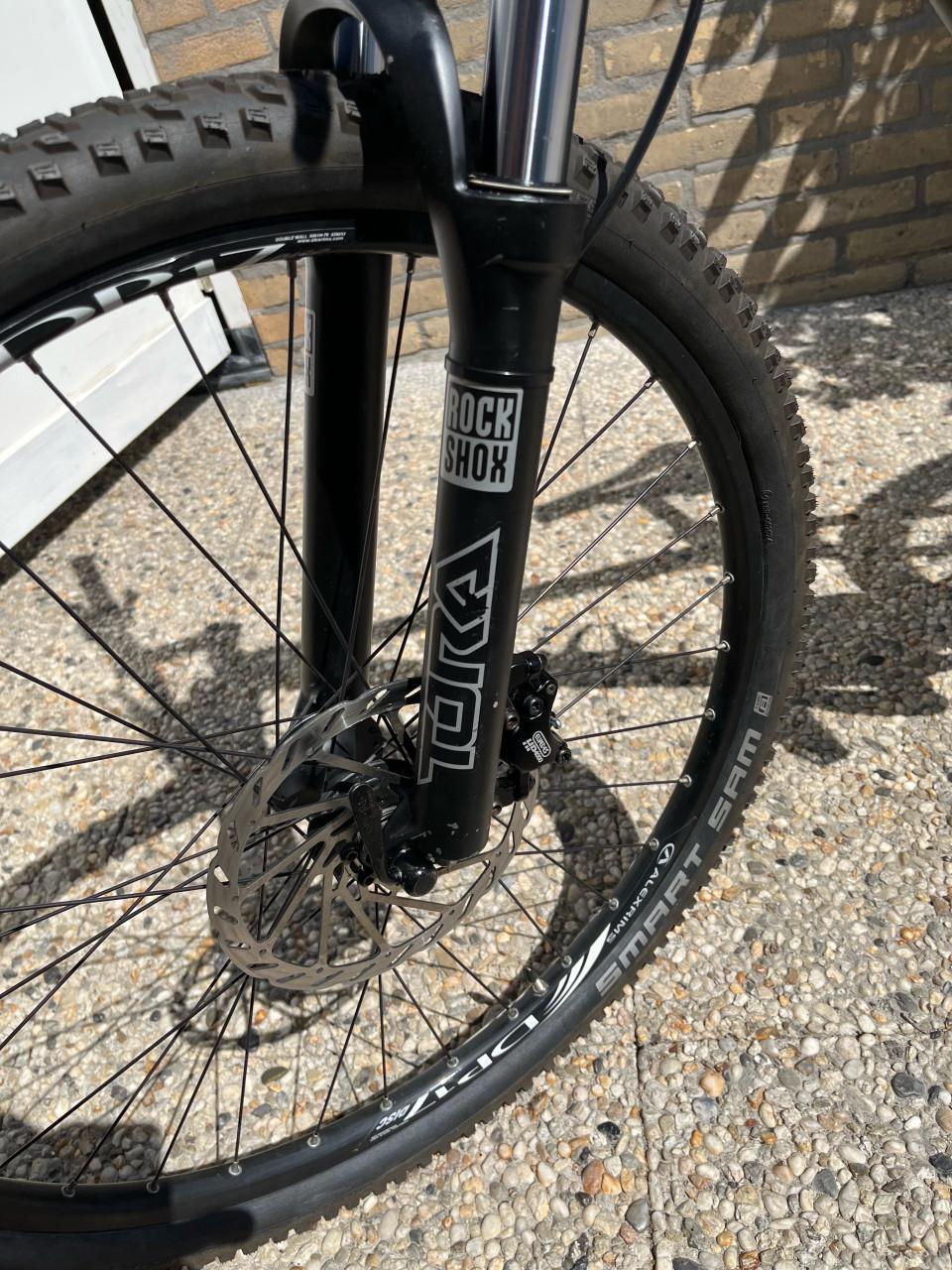 Focus MTB