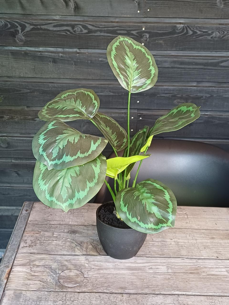 Kunst plant
