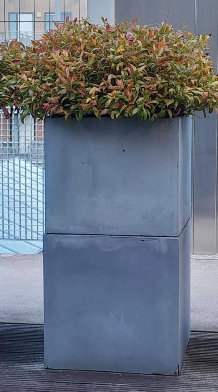 Gratis af te halen Bloembakken