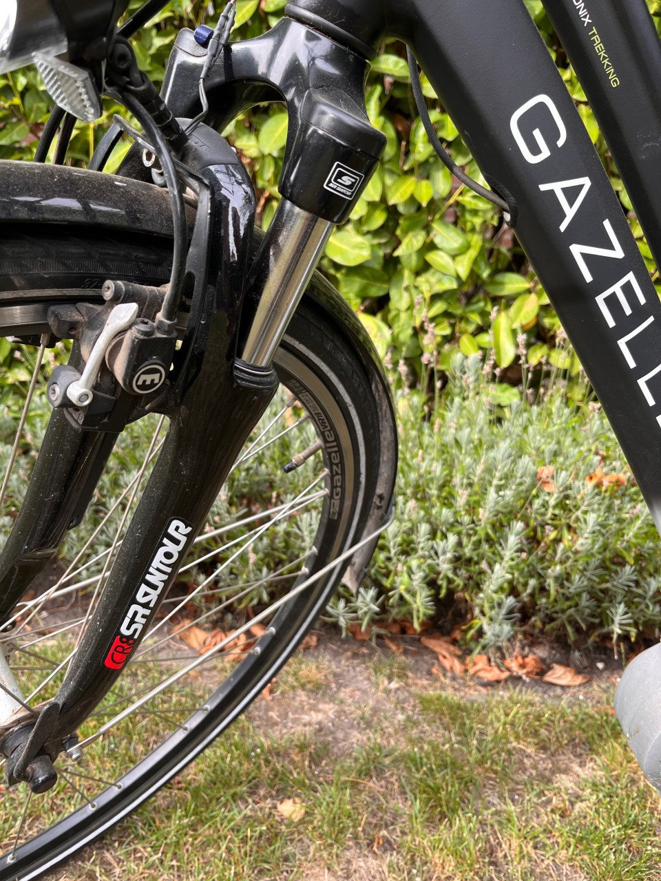 Gazelle Chamonix elektrische damesfiets D49