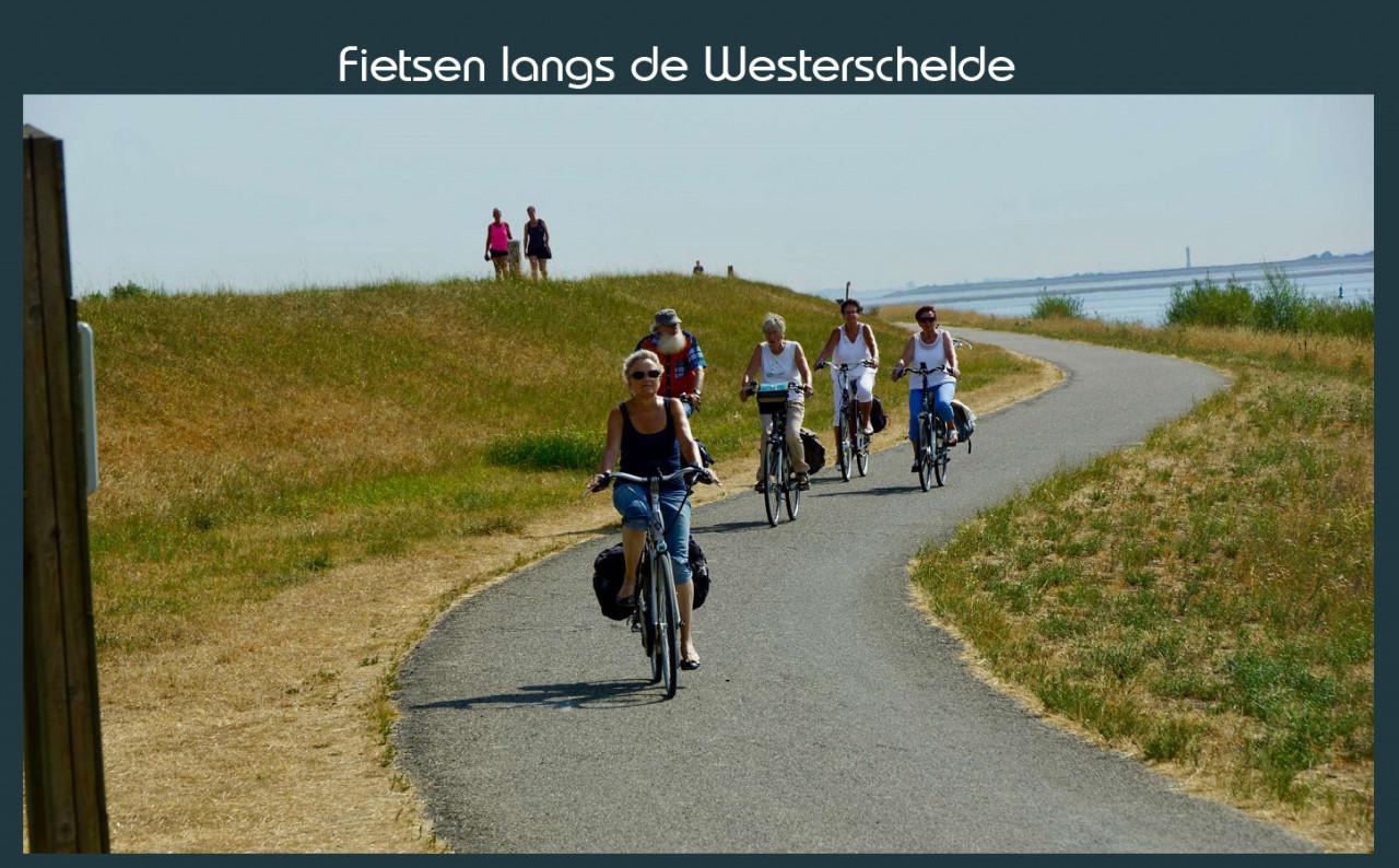 Vakantiewoning Deltahof Ellewoutsdijk Zuid-Beveland