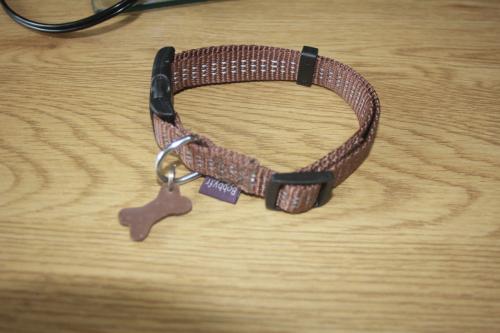 Halsband voor n hond
