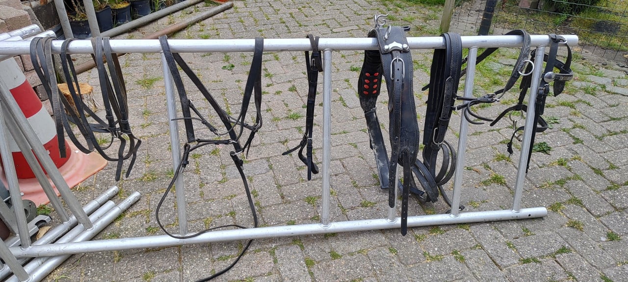 Wegens overlijden shetland pony te koop