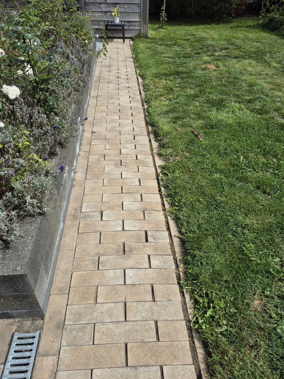 Tuinman nodig? Ik ben beschikbaar!!