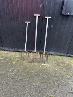 3 rieken om pieren te stekende