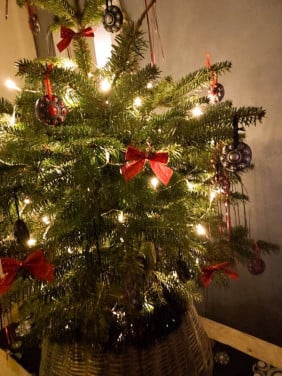 Hang Zeeuws knopje voor in de Kerstboom