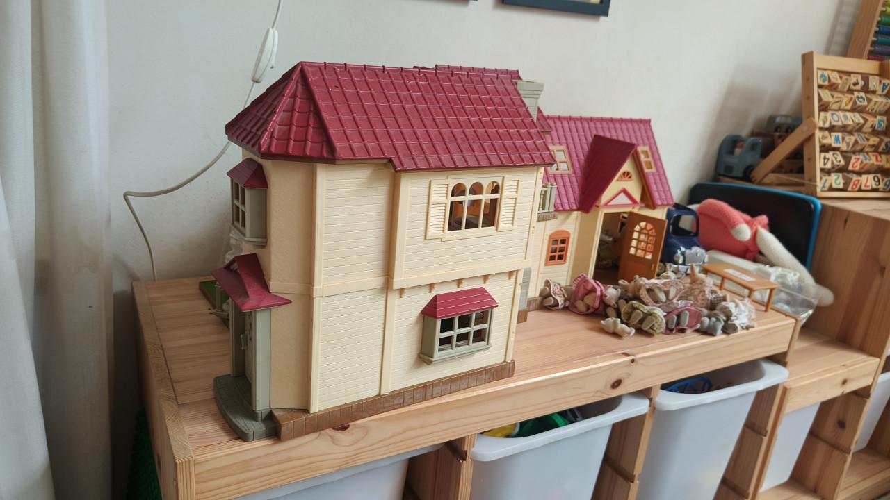 Grote set Sylvanian Families