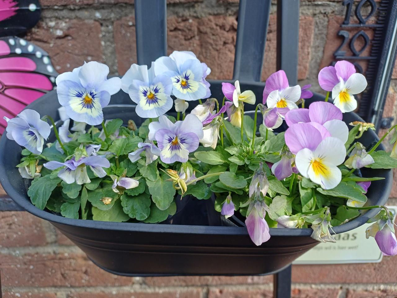 ZIN in het VOORJAAR? PLANTENREK met 3 BLOEMBAKKEN (metaal)