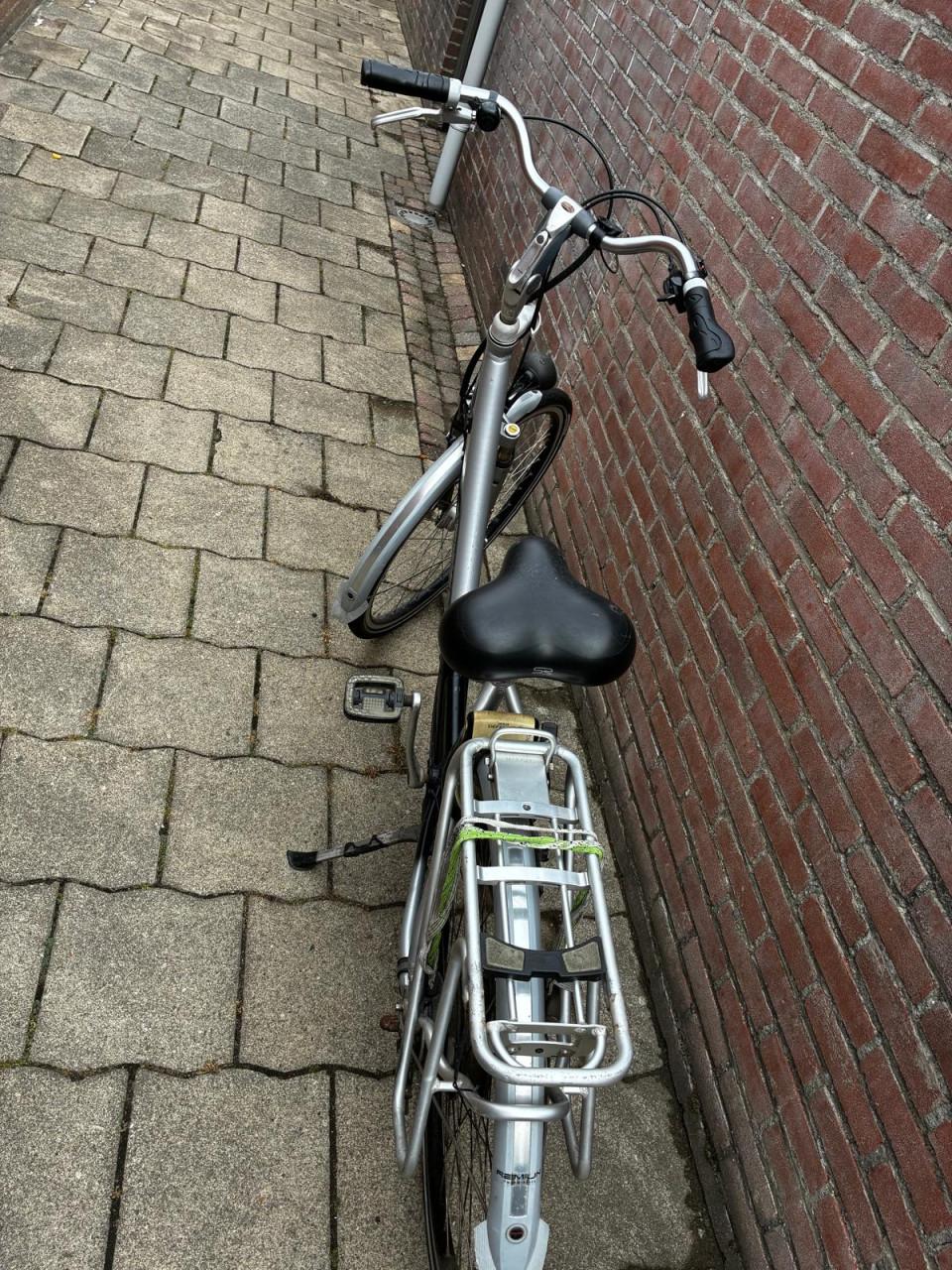 Elektrische fiets