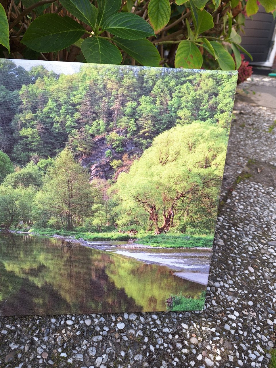 Decoratieve canvas