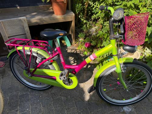 Meisjesfiets 20 inch