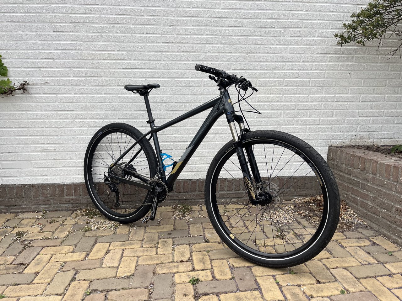 Mountainbike Cube Acces SL