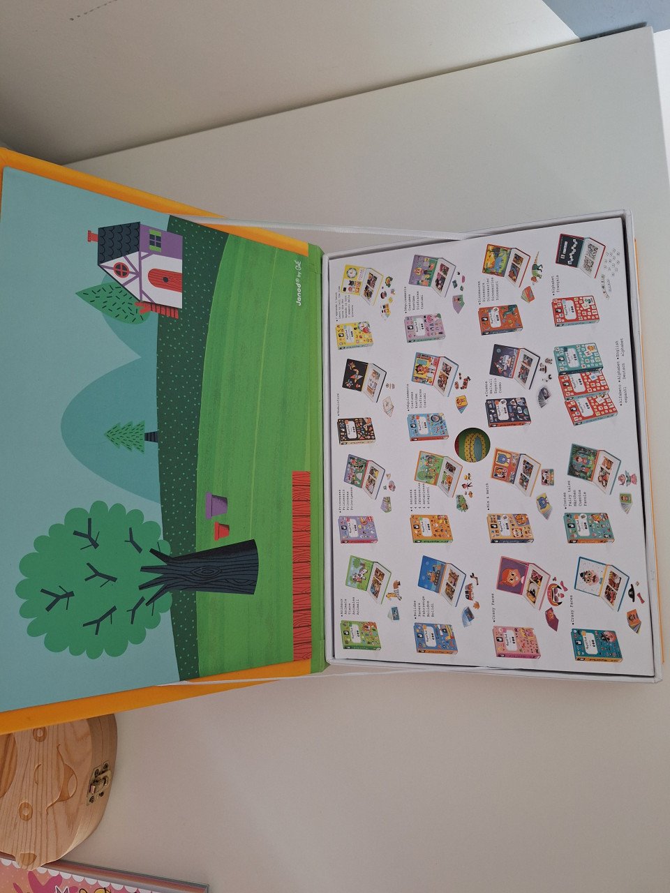 Magneti boek