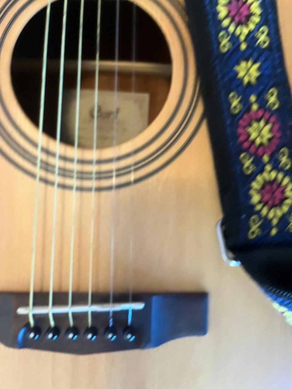 Cort Earth Pack OP Gitaar