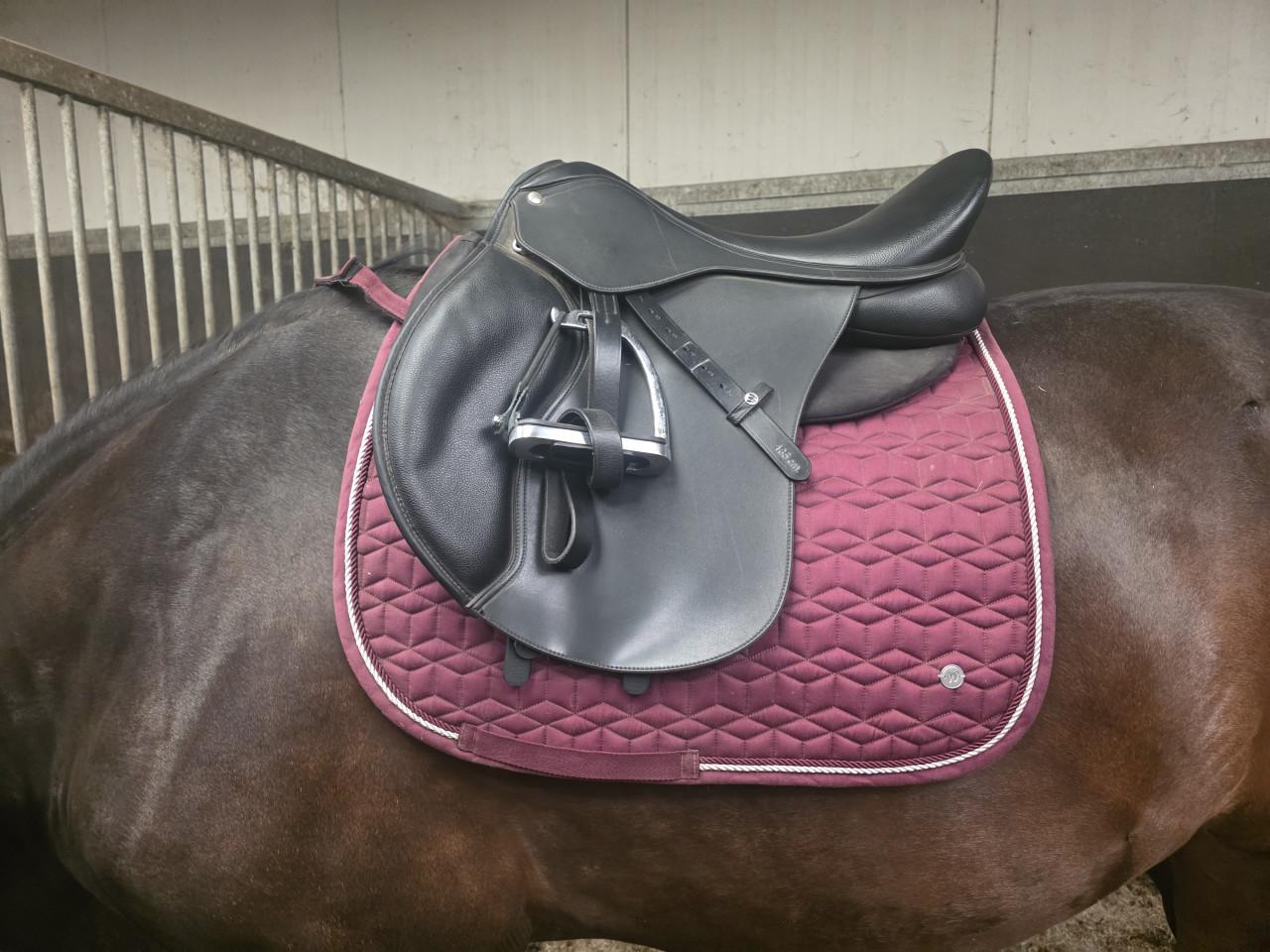 Wintec 18" veelzijdigheidszadel