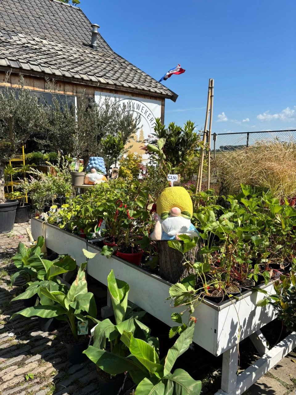 PLANTENKWEKERIJ ‘t GROENE LAND- Moederdagcadeaus