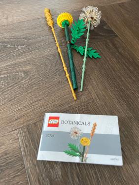 Botanicals lego: Veldbloemen 30701