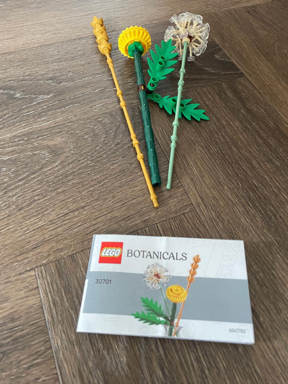 Botanicals lego: Veldbloemen 30701