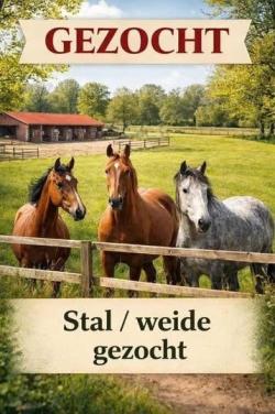 Gezocht paardenlocatie