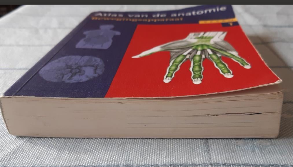 Sesam atlas van de anatomie,  deel 1: bewegingsapparaat