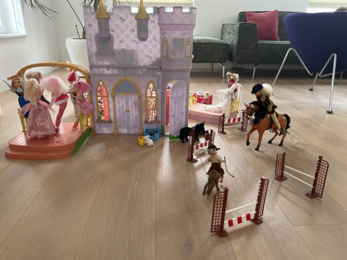 Barbiekasteel met poppen, paarden en accessoires