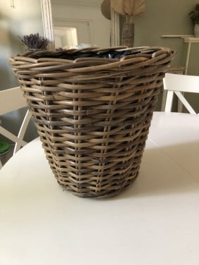 Leuke roeten plantenpot (alleen afhalen)