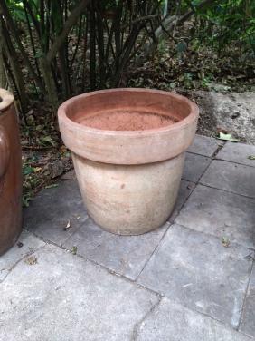 Terracotta pot tuin