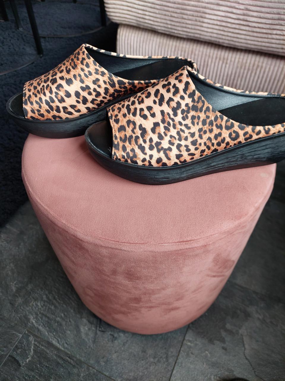 Nw tijger slippers