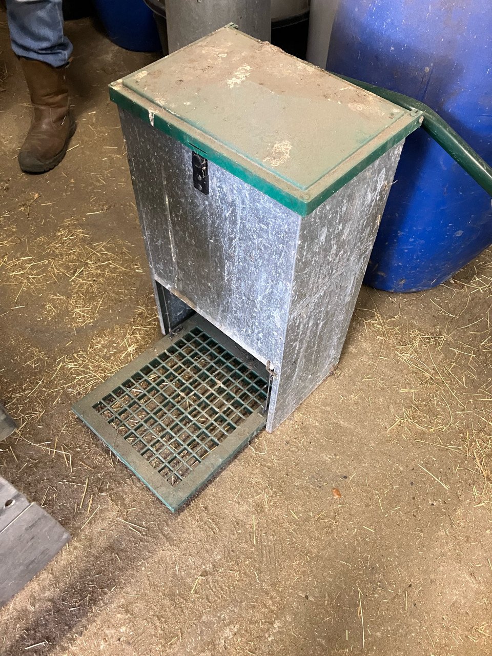 Grote kippen voer silo en trapbak
