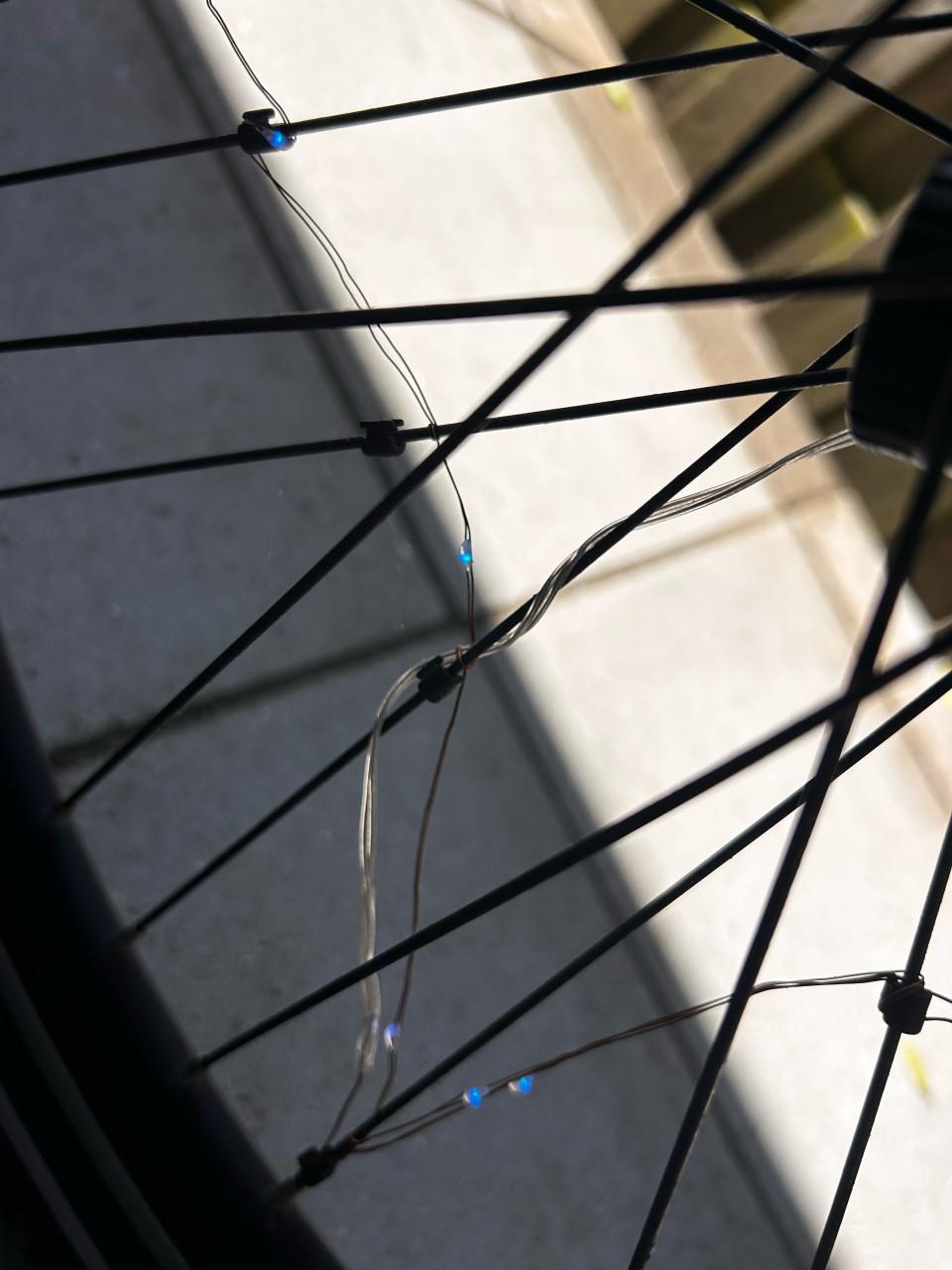 Alpina Trial 24”