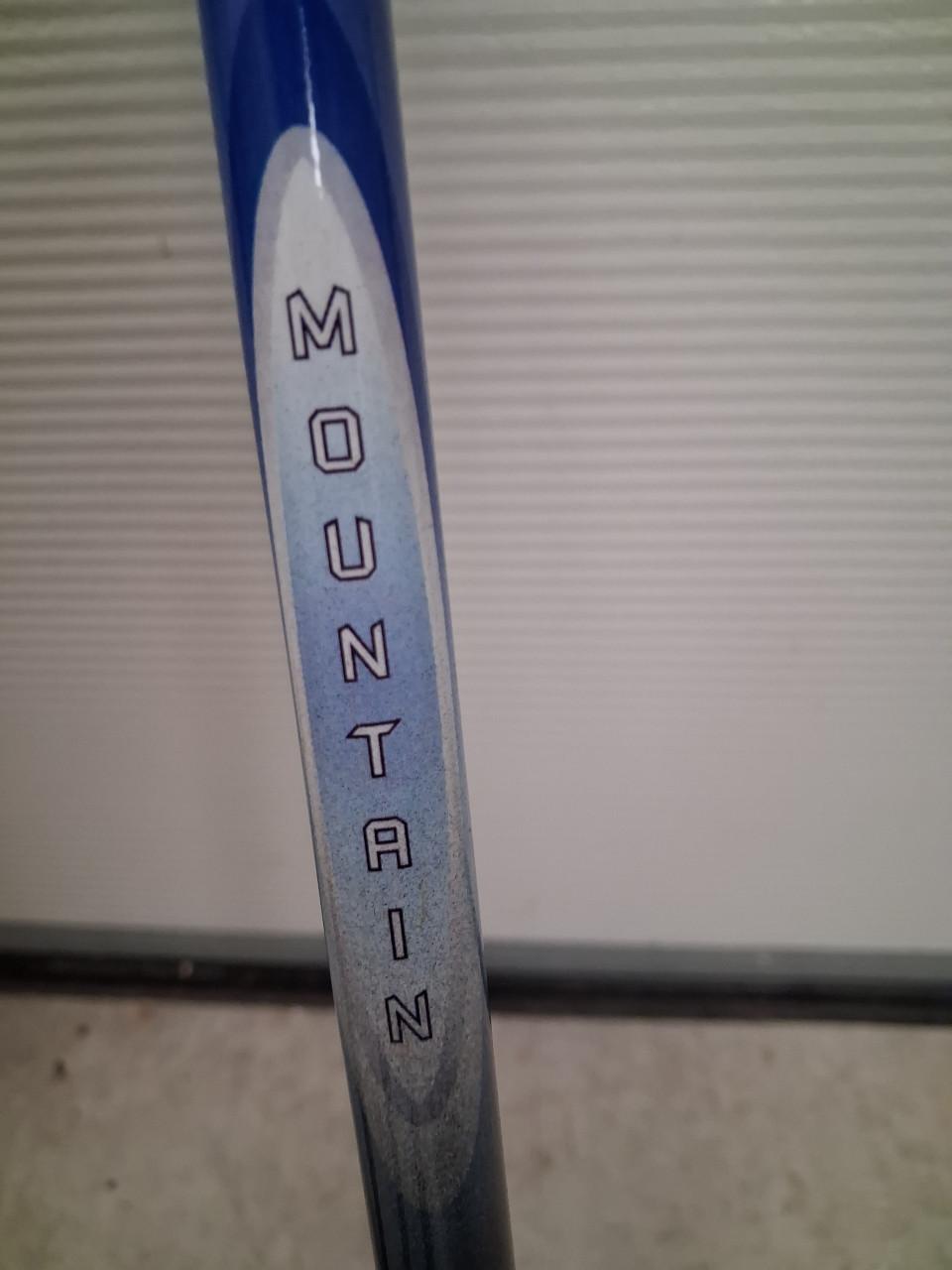 Ski's compleet met stokken.